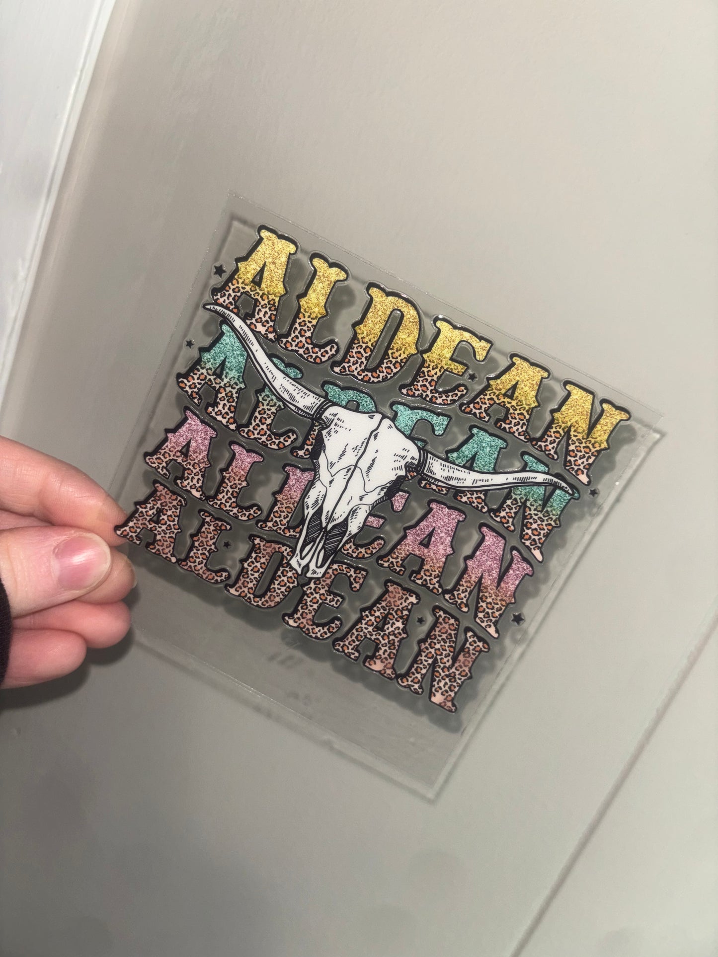 Country Singer Decal
