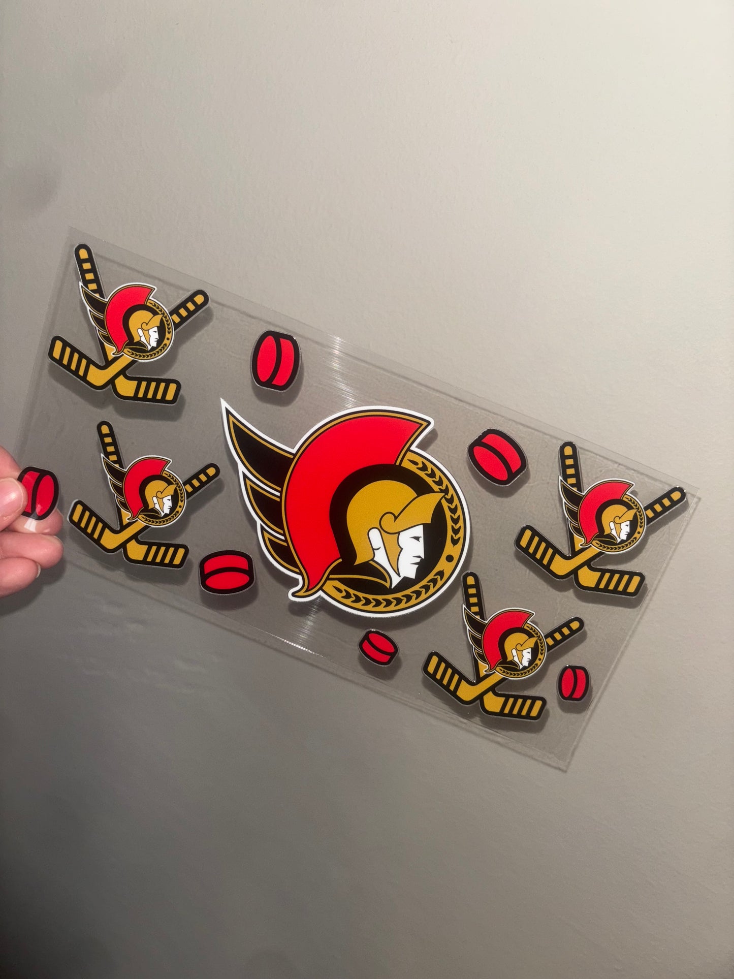 Ottawa Hockey 16 oz