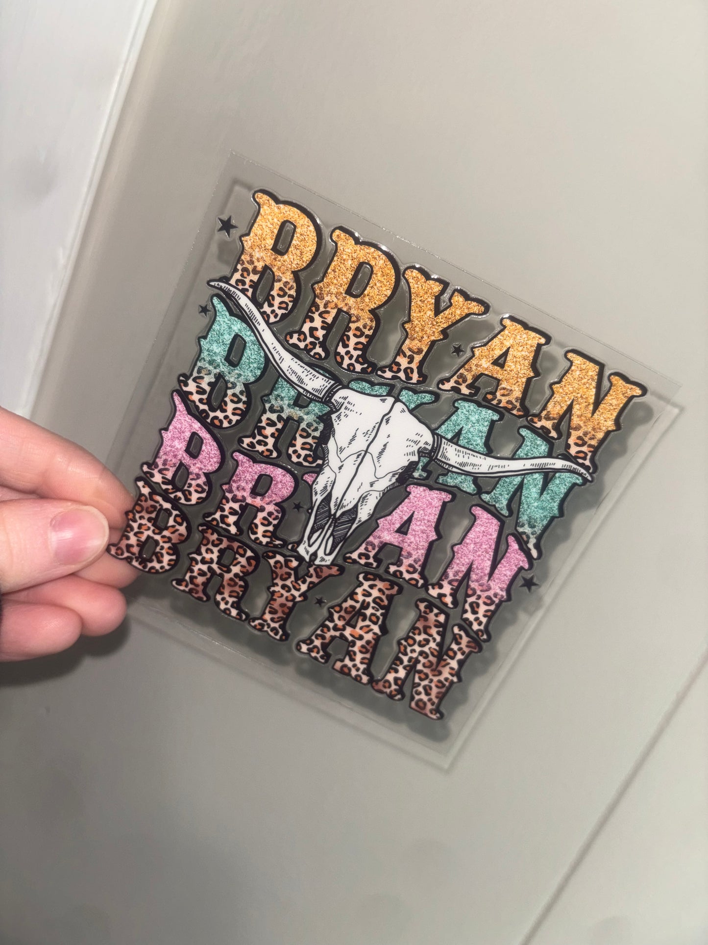 Country Singer Decal